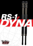 RS-1F DYNA CARTRIDGE SYSTEM